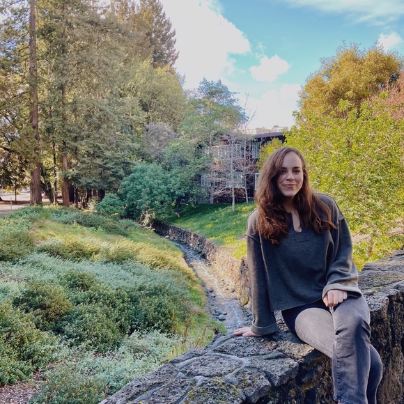 Meet your Posher, Tess - Picture 1 of 1